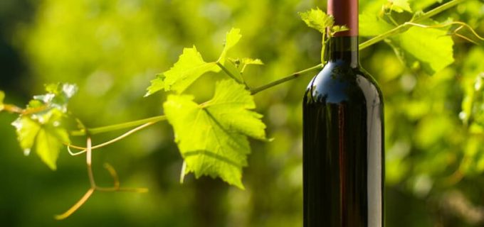 Wine-bottle