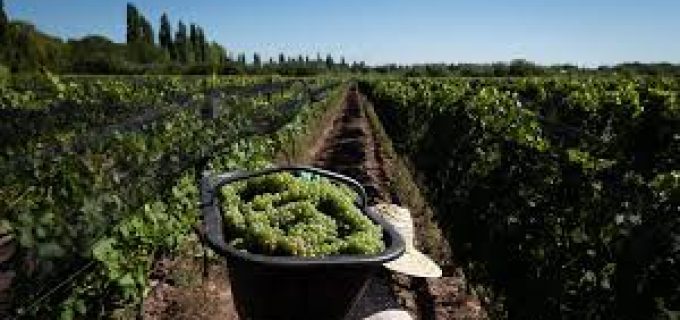 images (1)